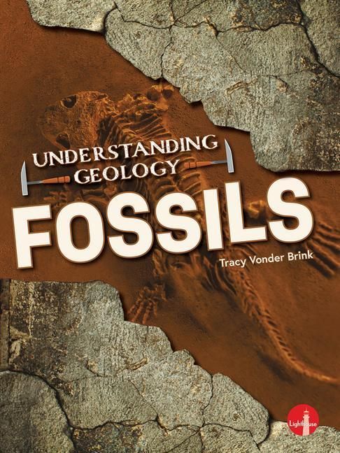 Produktbild: Fossils