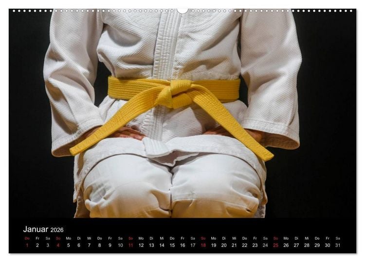 Produktbild: Kampfsport (Wandkalender 2026 DIN A2 quer), CALVENDO Monatskalender