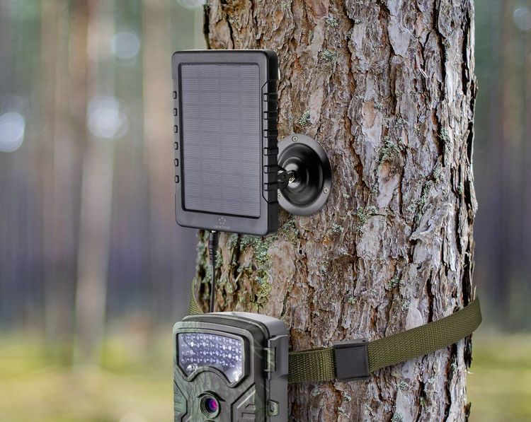 Produktbild: Renkforce RF-SPB-250 RF-4609558 Solarpanel