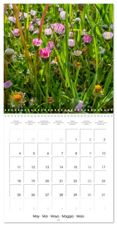 Produktbild: Harmonie Florale Des Pr&eacute;s aux Villes (Calendrier mural carr&eacute; 2026 30x30 cm) Calendrier double avec une page pour vos prises de notes