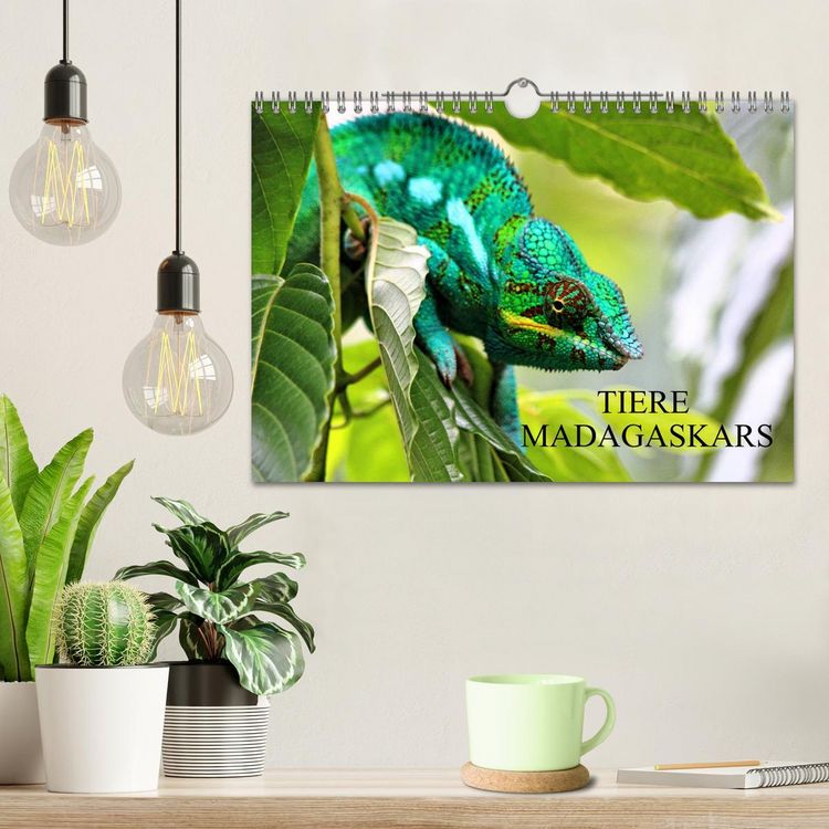 Produktbild: Tiere Madagaskars (Wandkalender 2026 DIN A4 quer), CALVENDO Monatskalender