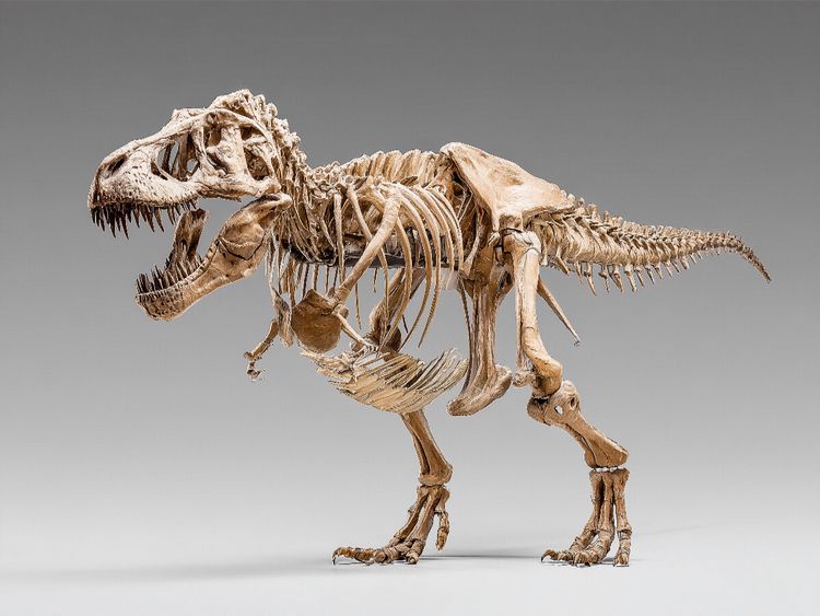 Produktbild: CALVENDO Puzzle Dinosaurier Tyrannosaurus Rex - K&ouml;nig der J&auml;ger | 1000 Teile Lege-Gr&ouml;&szlig;e 64x48cm Foto-Puzzle f&uuml;r gl&uuml;ckliche Stunden