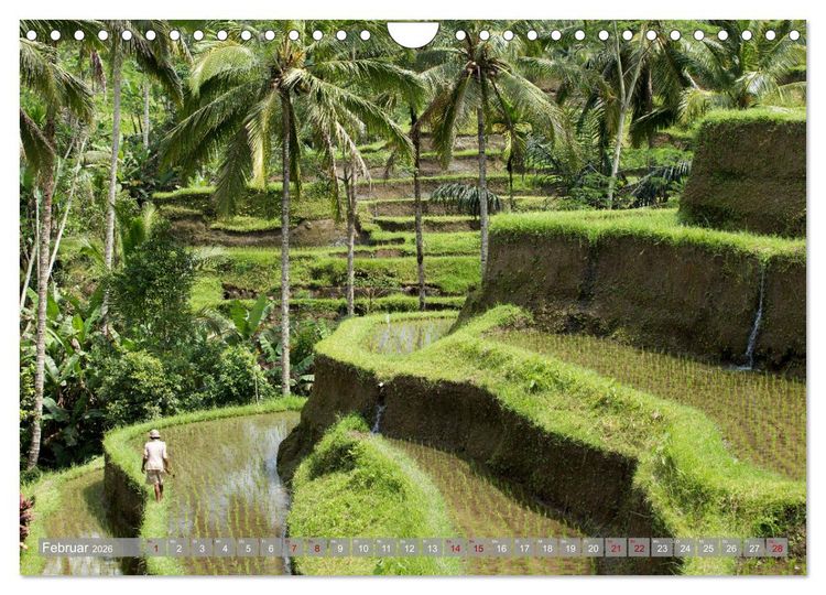 Produktbild: Bali - Momente einer Reise (Wandkalender 2026 DIN A4 quer), CALVENDO Monatskalender