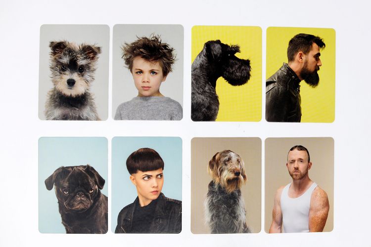 Produktbild: Siehst du aus wie dein Hund?