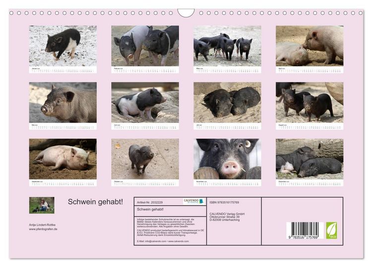 Produktbild: Schwein gehabt! (Wandkalender 2026 DIN A3 quer), CALVENDO Monatskalender