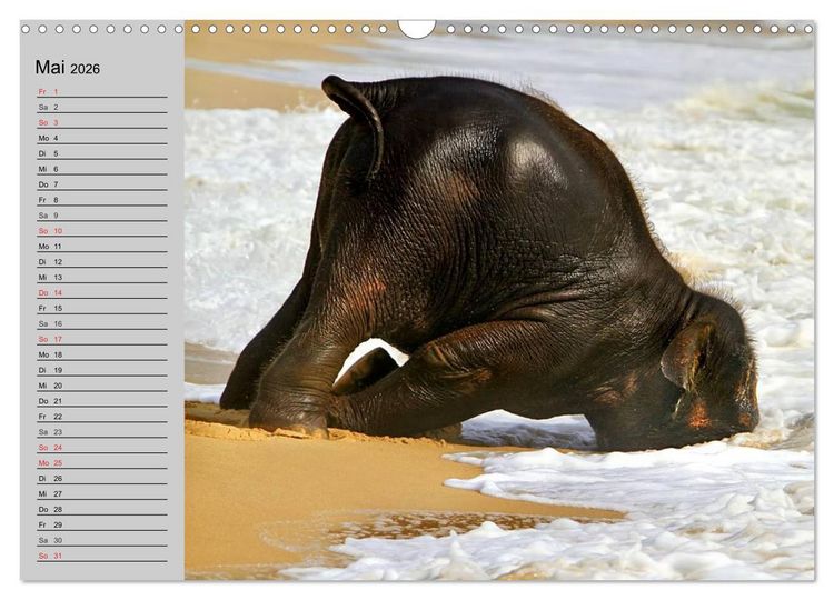 Produktbild: Elefanten. Spa&szlig; am Wasser (Wandkalender 2026 DIN A3 quer), CALVENDO Monatskalender