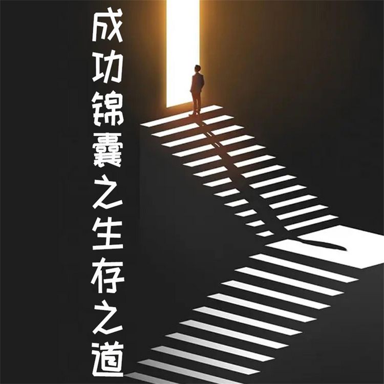 Produktbild: 成功锦囊之生存之道 (全4册)