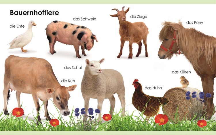 Produktbild: Erstes Lernen mini. Tiere