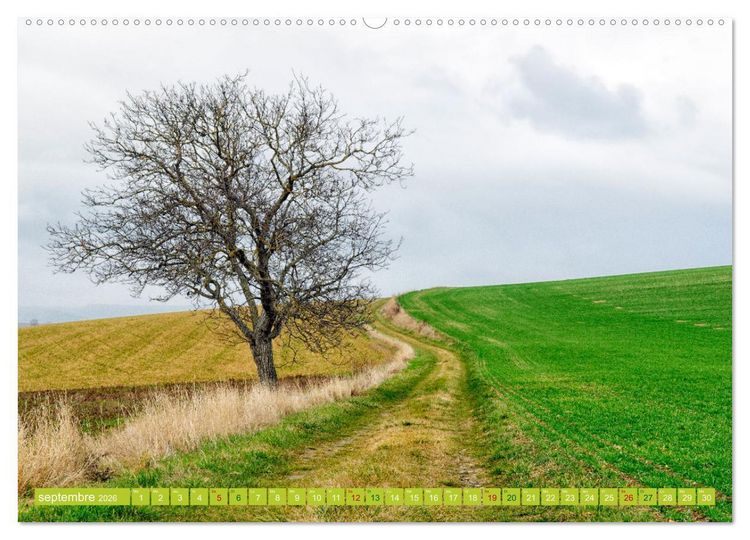 Produktbild: Solitude verdoyante (Calendrier mural 2026 DIN A2 vertical), CALVENDO calendrier mensuel