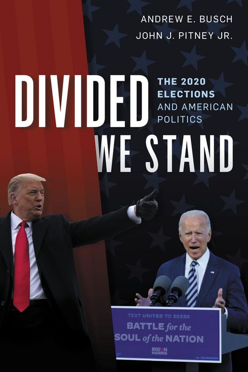 Produktbild: Divided We Stand