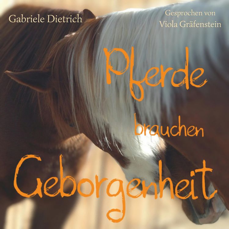 Produktbild: Pferde brauchen Geborgenheit