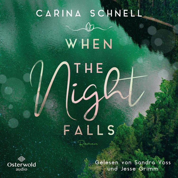 Produktbild: When the Night Falls (Sommer in Kanada 2)