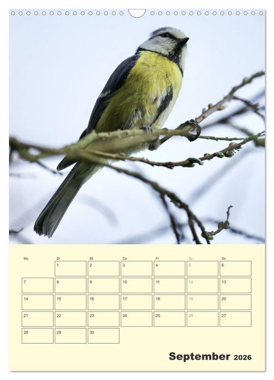 Produktbild: Vogelwelt an der Sieg (Wandkalender 2026 DIN A3 hoch), CALVENDO Monatskalender