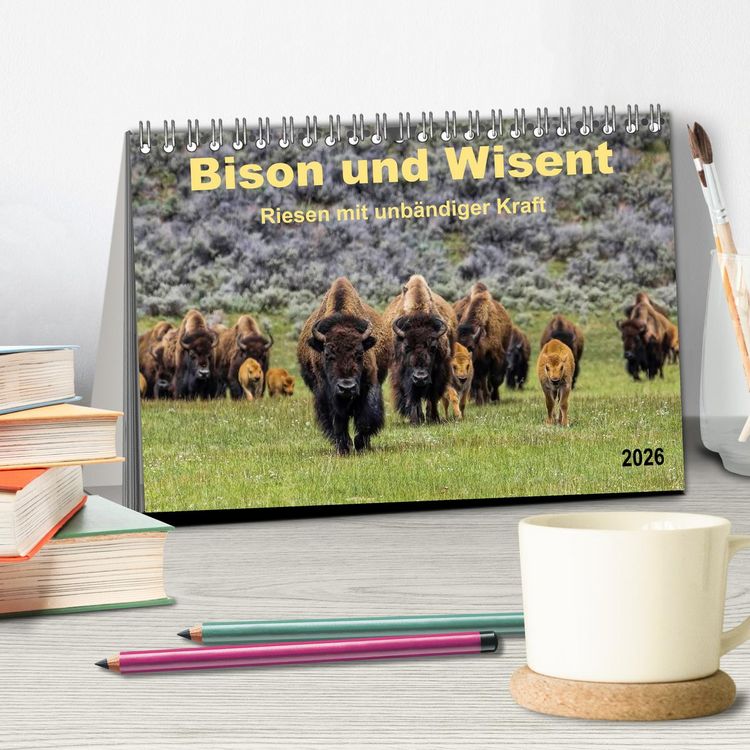 Produktbild: Bison und Wisent - Riesen mit unb&auml;ndiger Kraft (Tischkalender 2026 DIN A5 quer), CALVENDO Monatskalender
