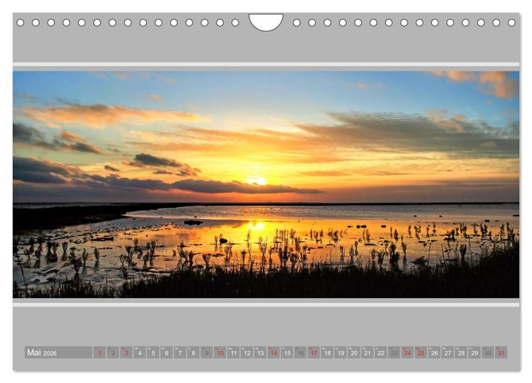 Produktbild: Ostfriesland - Deichspaziergang (Wandkalender 2026 DIN A4 quer), CALVENDO Monatskalender