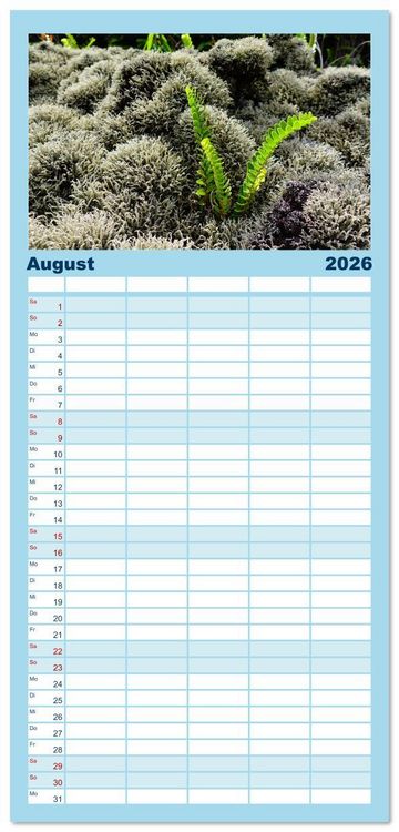 Produktbild: Familienplaner 2026 - La Reunion - Traumhafte K&uuml;sten und Hochgebirge mit 5 Spalten (Wandkalender, 21 x 45 cm) CALVENDO