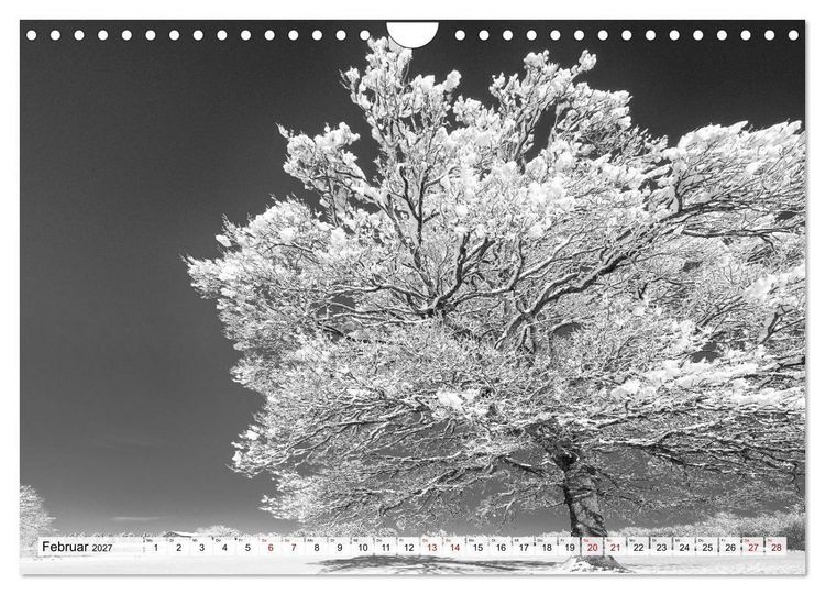 Produktbild: Traumhafte Allg&auml;uer Alpen (Wandkalender 2027 DIN A4 quer), CALVENDO Monatskalender