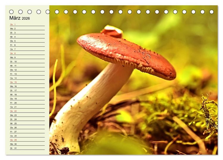 Produktbild: Pilze und Pilzgerichte (Tischkalender 2026 DIN A5 quer), CALVENDO Monatskalender