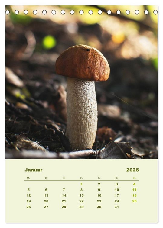 Produktbild: Wundersame Welt der Pilze (Tischkalender 2026 DIN A5 hoch), CALVENDO Monatskalender