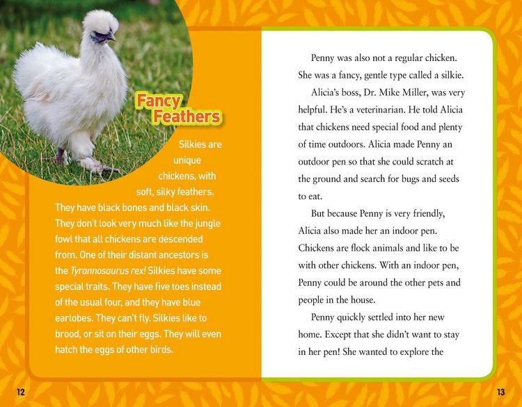 Produktbild: National Geographic Kids Chapters: Together Forever!
