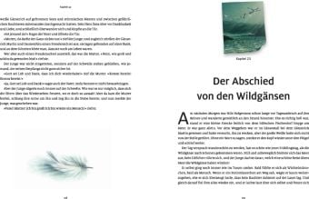 Produktbild: Die wunderbare Reise des Nils Holgersson mit den Wildg&auml;nsen