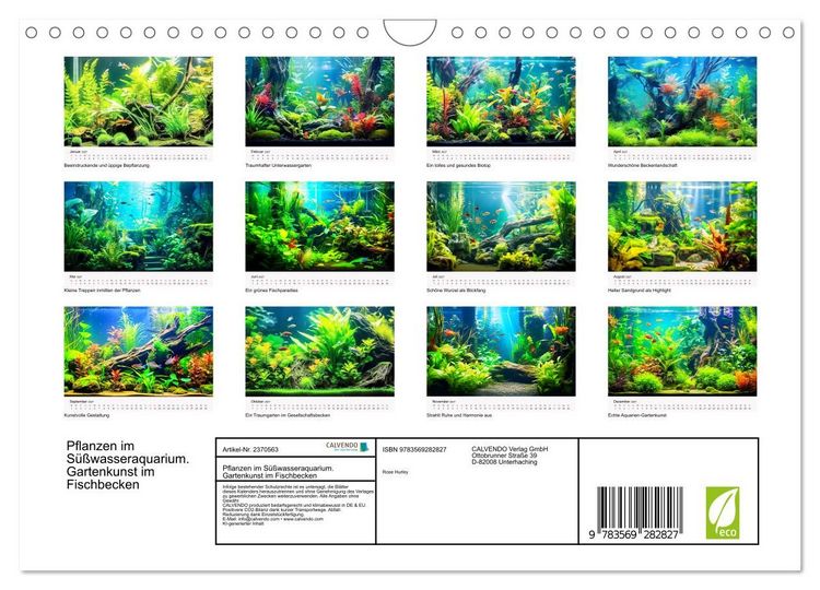 Pflanzen im Süßwasseraquarium. Gartenkunst im Fischbecken