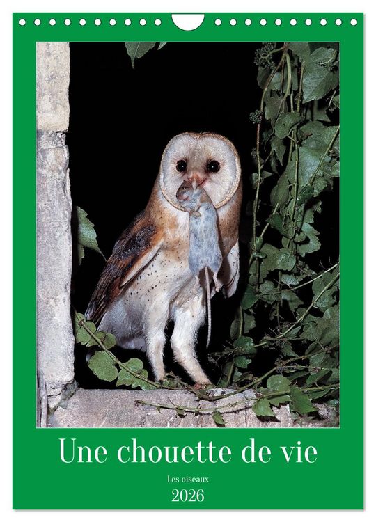 Produktbild: Une chouette de vie, les oiseaux (Calendrier mural 2026 DIN A4 horizontal), CALVENDO calendrier mensuel