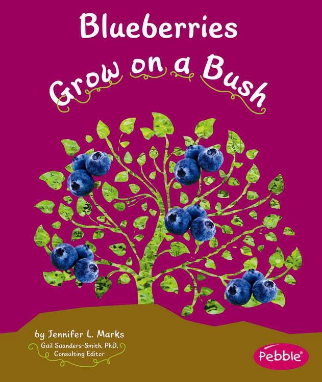 Produktbild: Blueberries Grow on a Bush