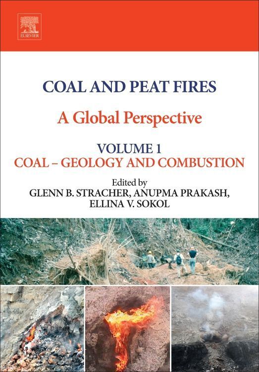 Produktbild: Coal and Peat Fires: A Global Perspective