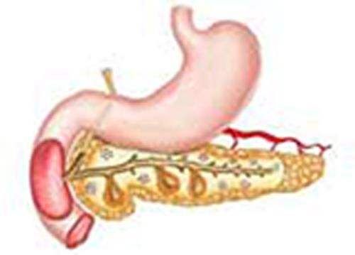 Produktbild: Pancreatic Function Test Part 2