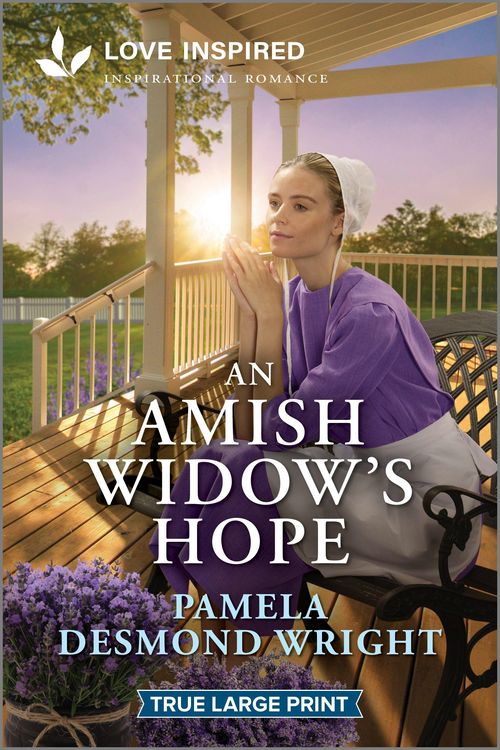Produktbild: An Amish Widow's Hope