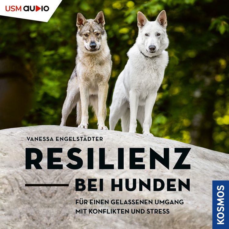 Produktbild: Resilienz bei Hunden