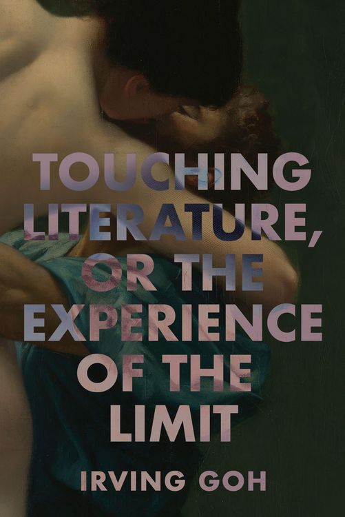 Produktbild: Touching Literature, or the Experience of the Limit