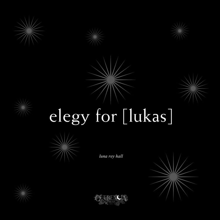 Produktbild: Elegy for [lukas]