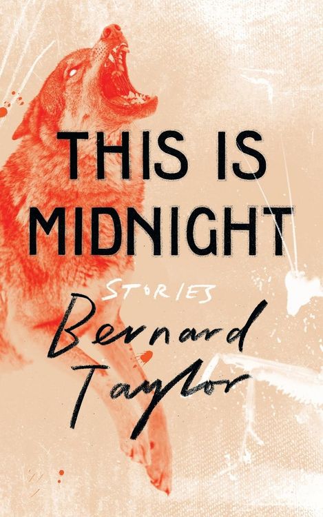 Produktbild: This Is Midnight