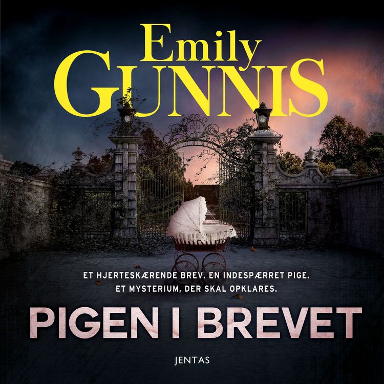 Produktbild: Pigen i brevet