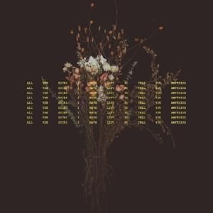 Produktbild: All The Hours I Have Left To Tell You Anything