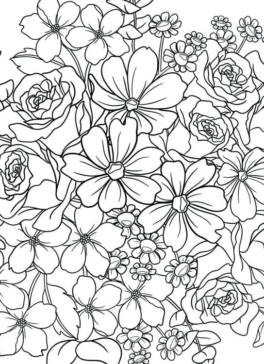 Produktbild: Colorful World Designdose mit 12 Buntstiften
