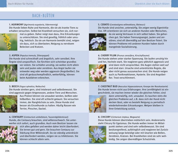Produktbild: Hom&ouml;opathie f&uuml;r Hunde