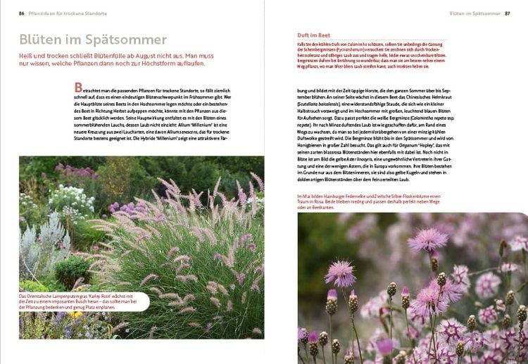 Produktbild: Echte Hitzeprofis