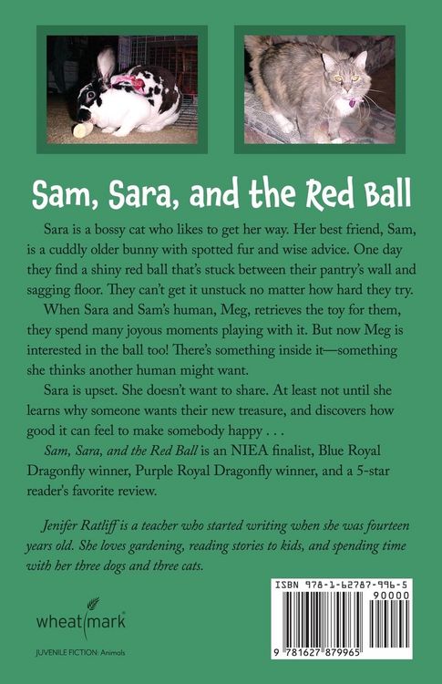 Produktbild: Sam, Sara, and the Red Ball