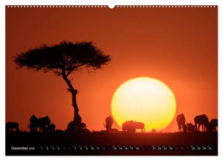 Produktbild: Auf Safari in Kenia 2026 (hochwertiger Premium Wandkalender 2026 DIN A2 quer), Kunstdruck in Hochglanz