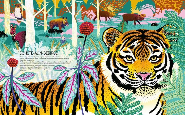Produktbild: Wildnis: Wo seltene Tiere und Pflanzen zuhause sind