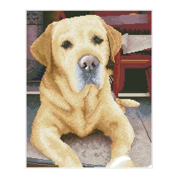 Produktbild: DIAMOND DOTZ - Diamond Painting Labrador