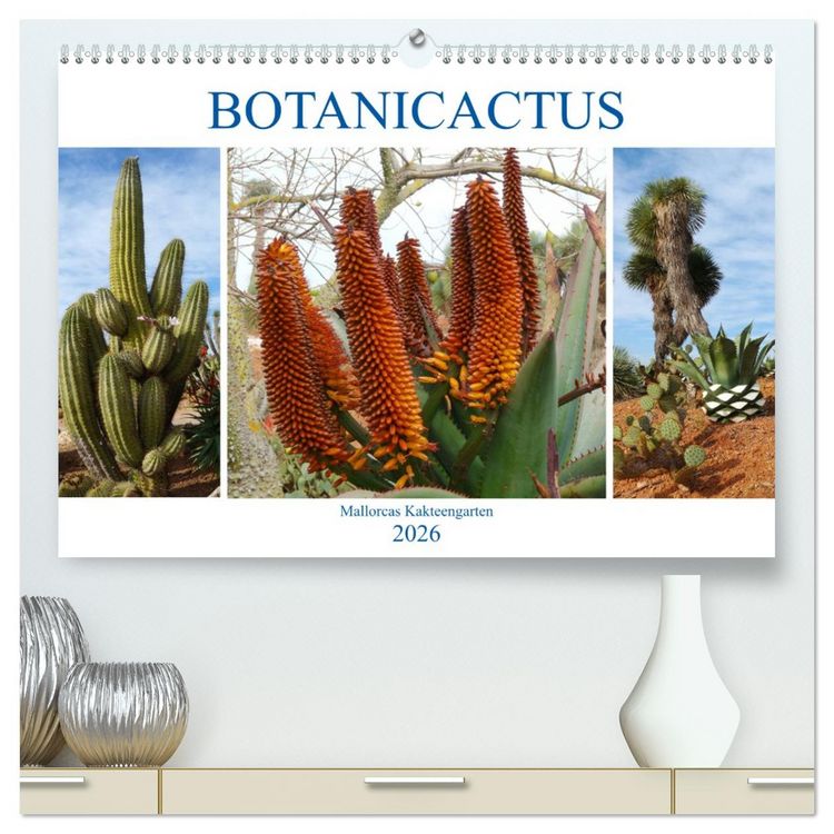 Produktbild: BOTANICACTUS Mallorcas Kakteengarten (hochwertiger Premium Wandkalender 2026 DIN A2 quer), Kunstdruck in Hochglanz