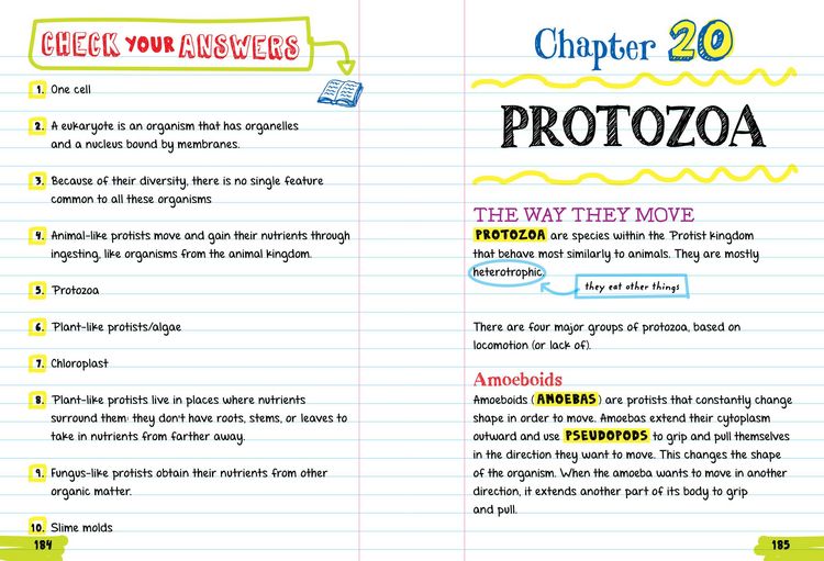 Produktbild: Everything You Need to Ace Biology in One Big Fat Notebook