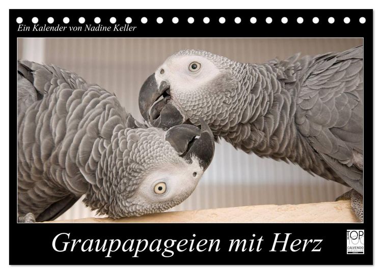 Produktbild: Graupapageien mit Herz (Tischkalender 2026 DIN A5 quer), CALVENDO Monatskalender
