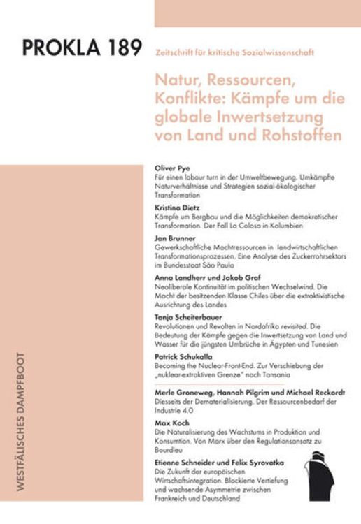 Produktbild: Natur,Ressourcen, Konflikte: Kämpfe um die globale Inwertsetzung von Land und Rohstoffen