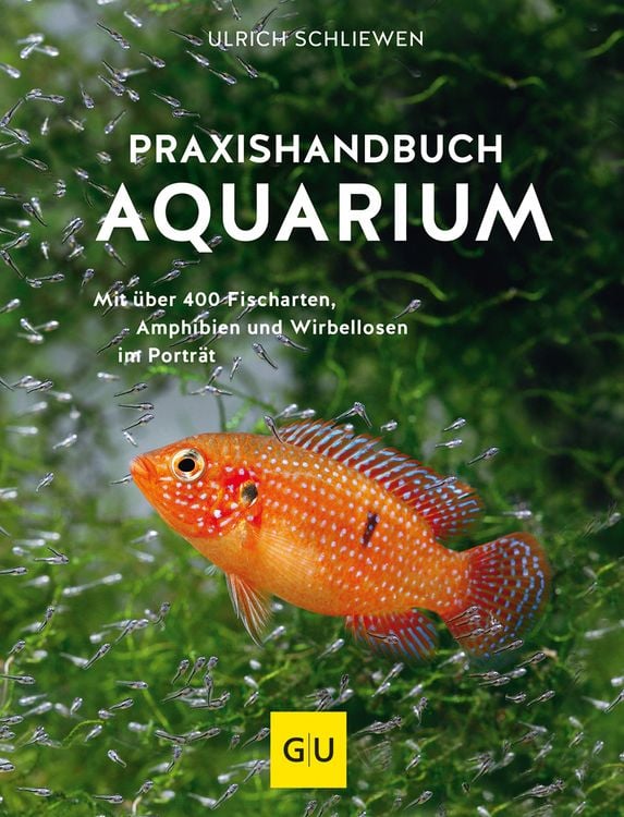 Bild vom Artikel Praxishandbuch Aquarium vom Autor Ulrich Schliewen