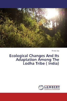 Produktbild: Kumar, C: Borrowing Constraints, Health Care Choices and Hea